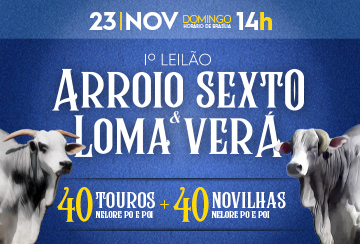 1º LEILÃO ARROIO SEXTO & LOMA VERÁ